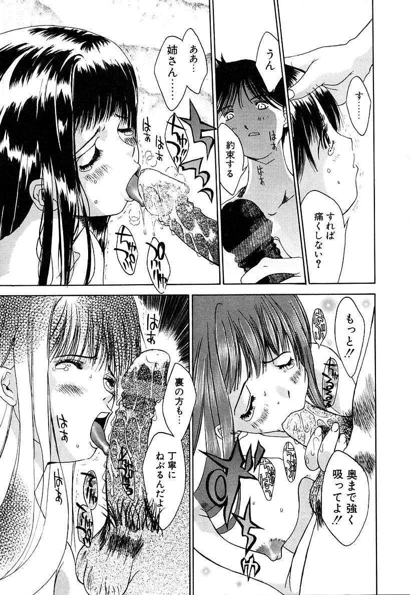 [古事記王子] カシミヤ