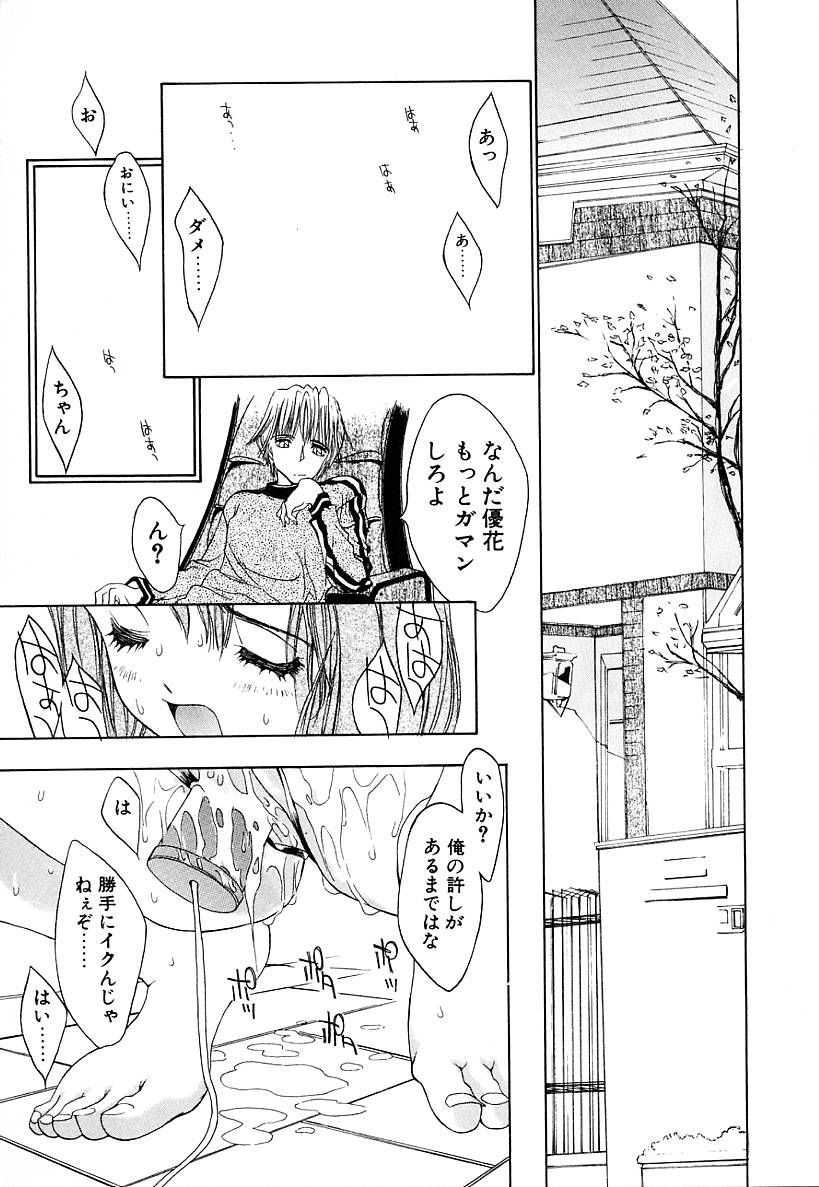 [古事記王子] カシミヤ