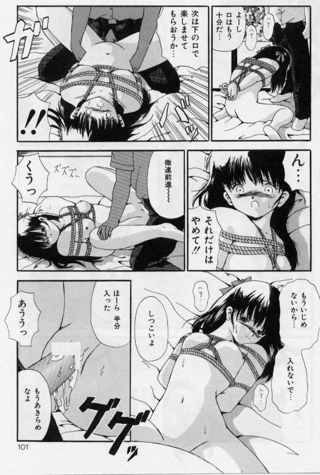 [ペイントロボ] 堕ちた果実たち