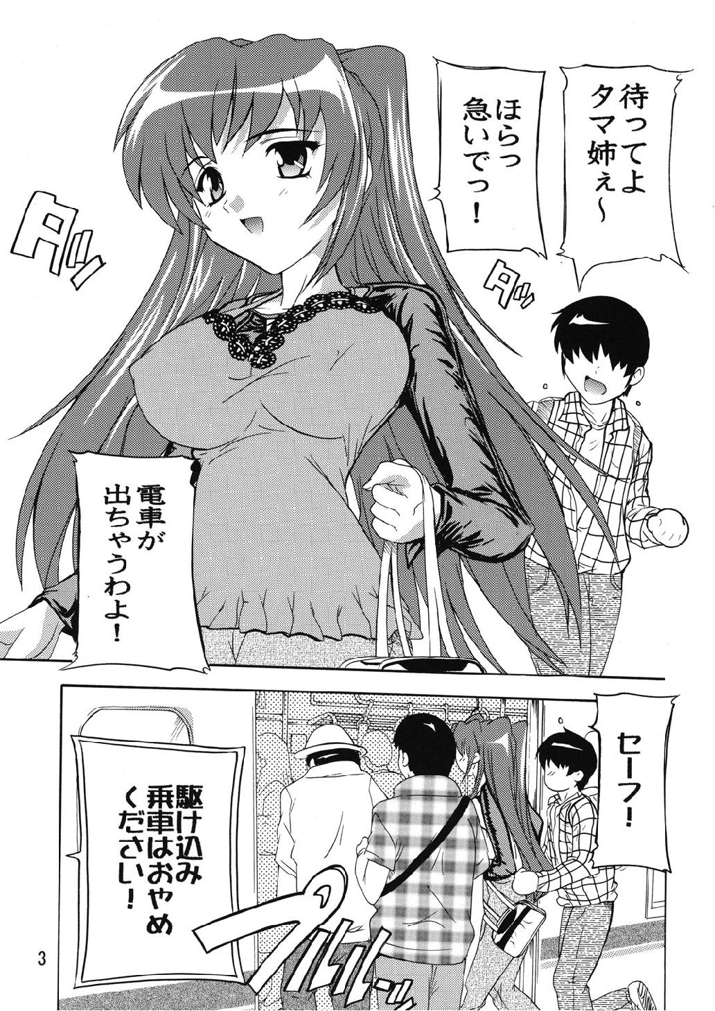 (C74) [すたぢおQ (奈塚Q弥)] 痴漢漢R タマ姉編 (トゥハート2)