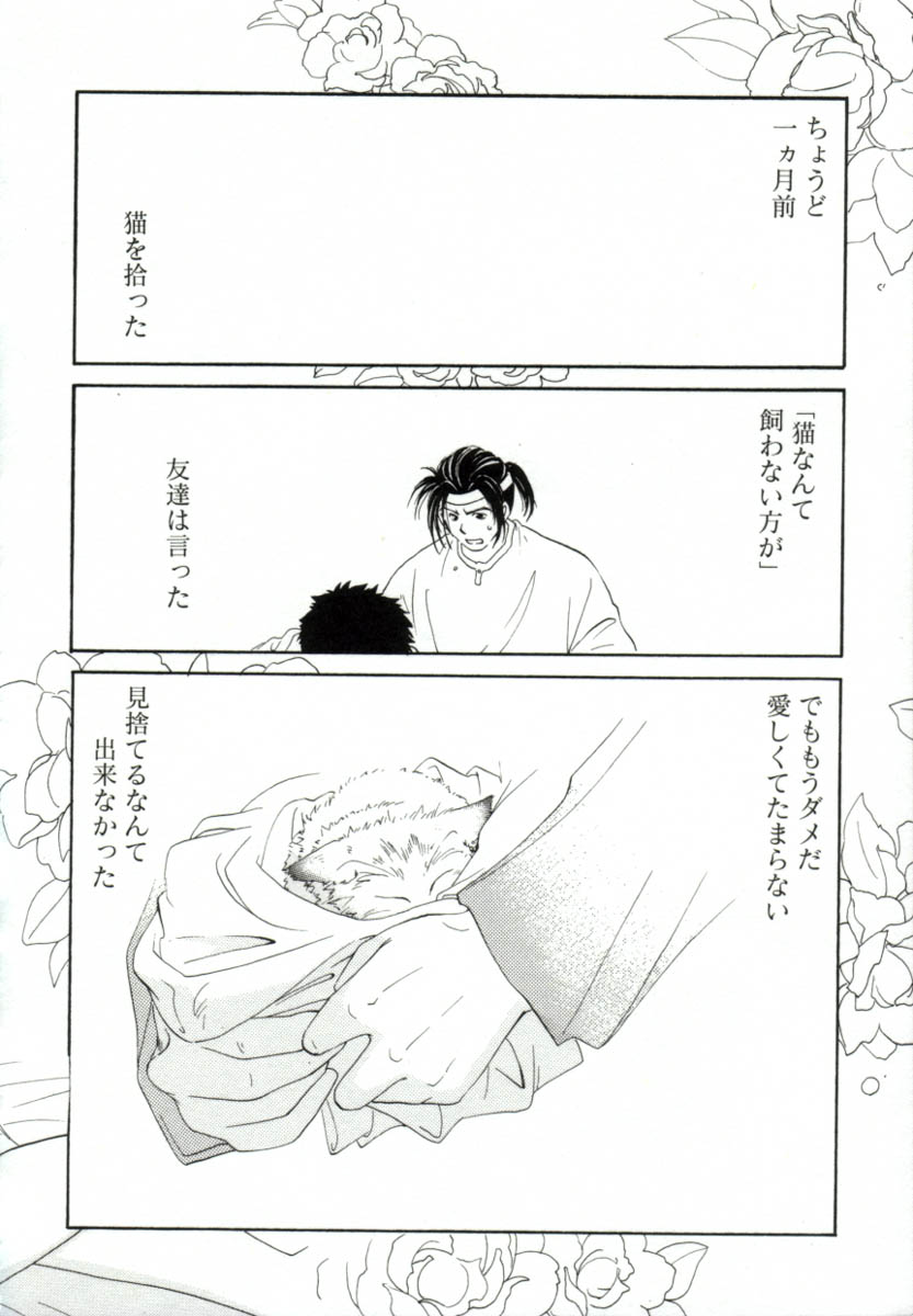 [みたおんしゃ] ガールフレンド