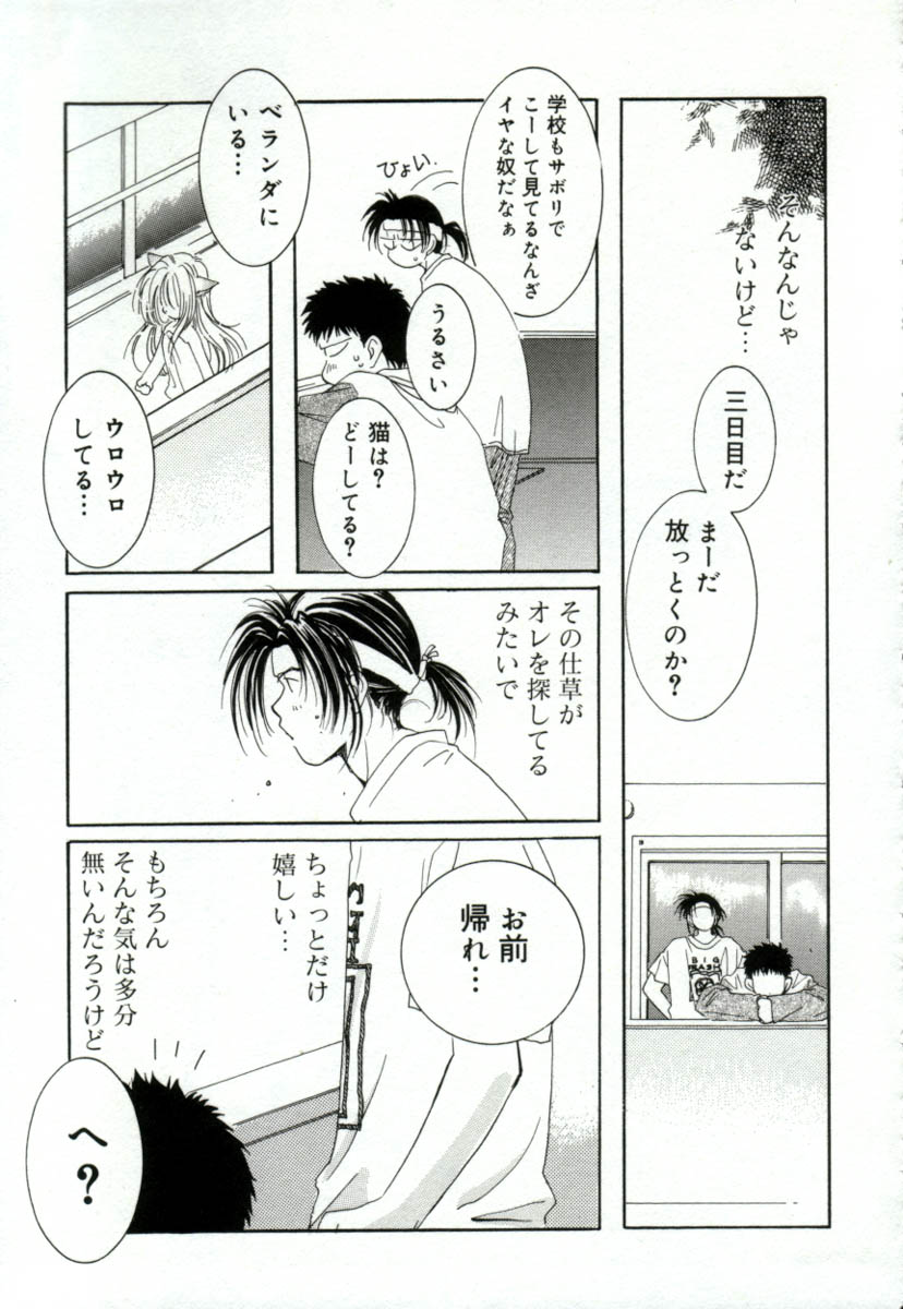 [みたおんしゃ] ガールフレンド