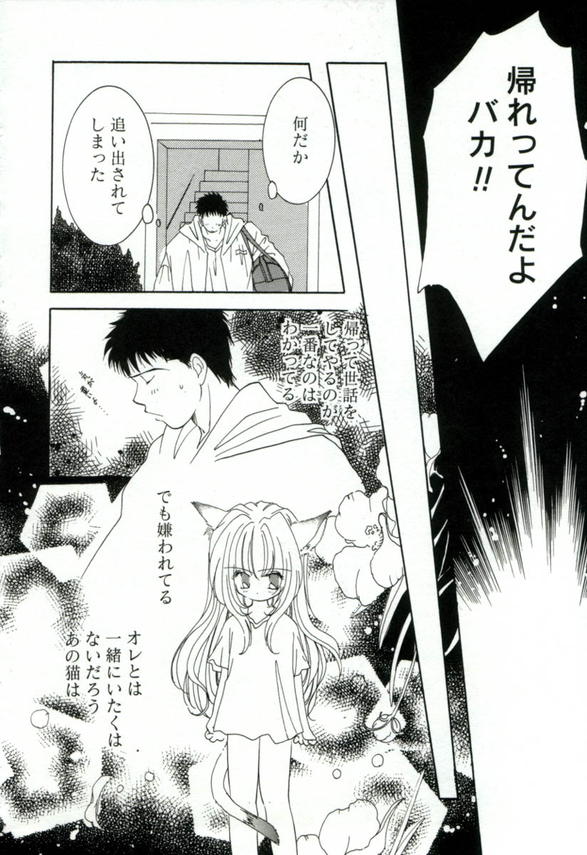 [みたおんしゃ] ガールフレンド
