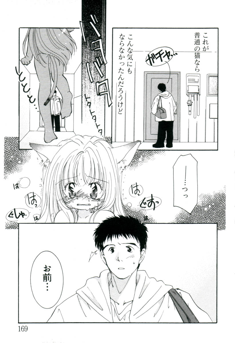 [みたおんしゃ] ガールフレンド