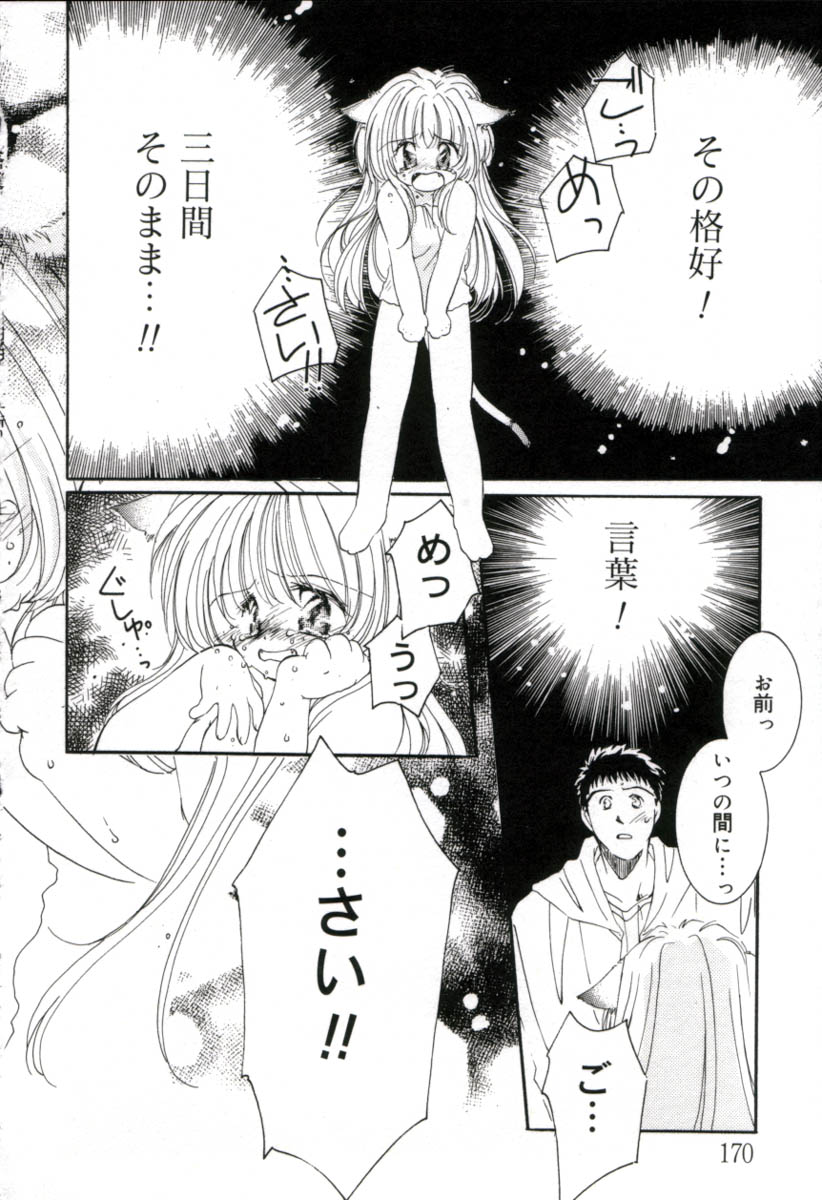 [みたおんしゃ] ガールフレンド
