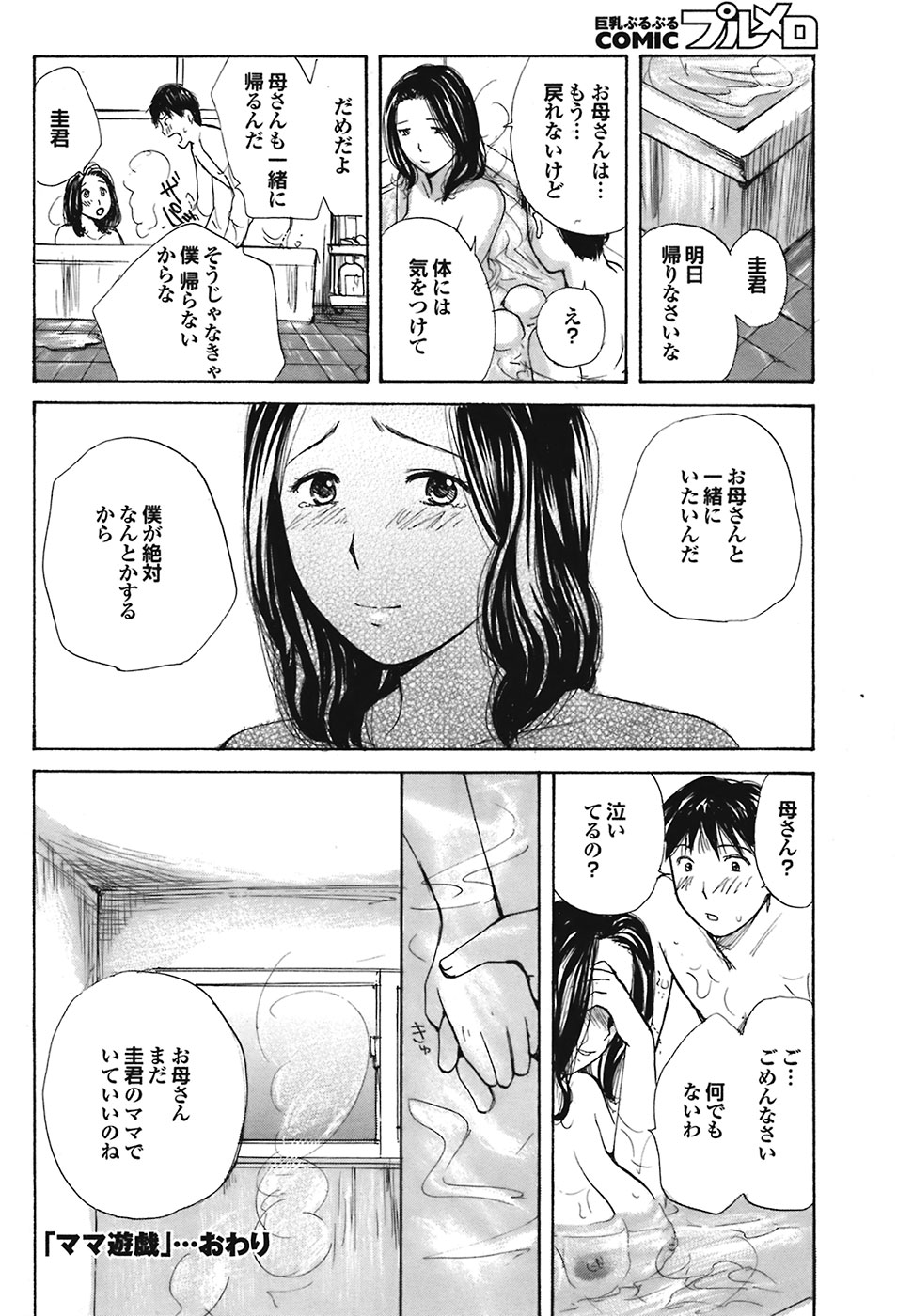 COMIC プルメロ 2008年11月号 vol.23