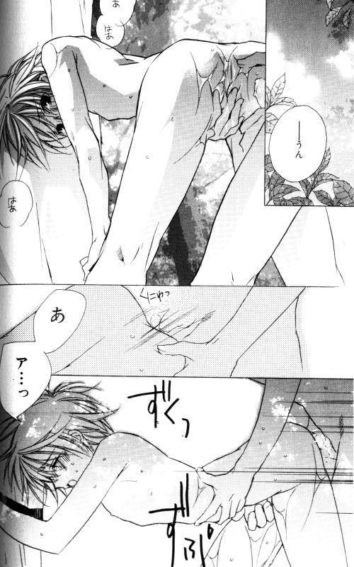 [さくらあしか] 仏頂面に恋をした