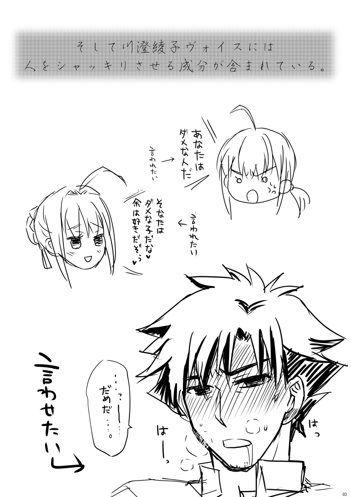 [りん] 剣切剣コピー本 (Fate/Zero) [DL版]