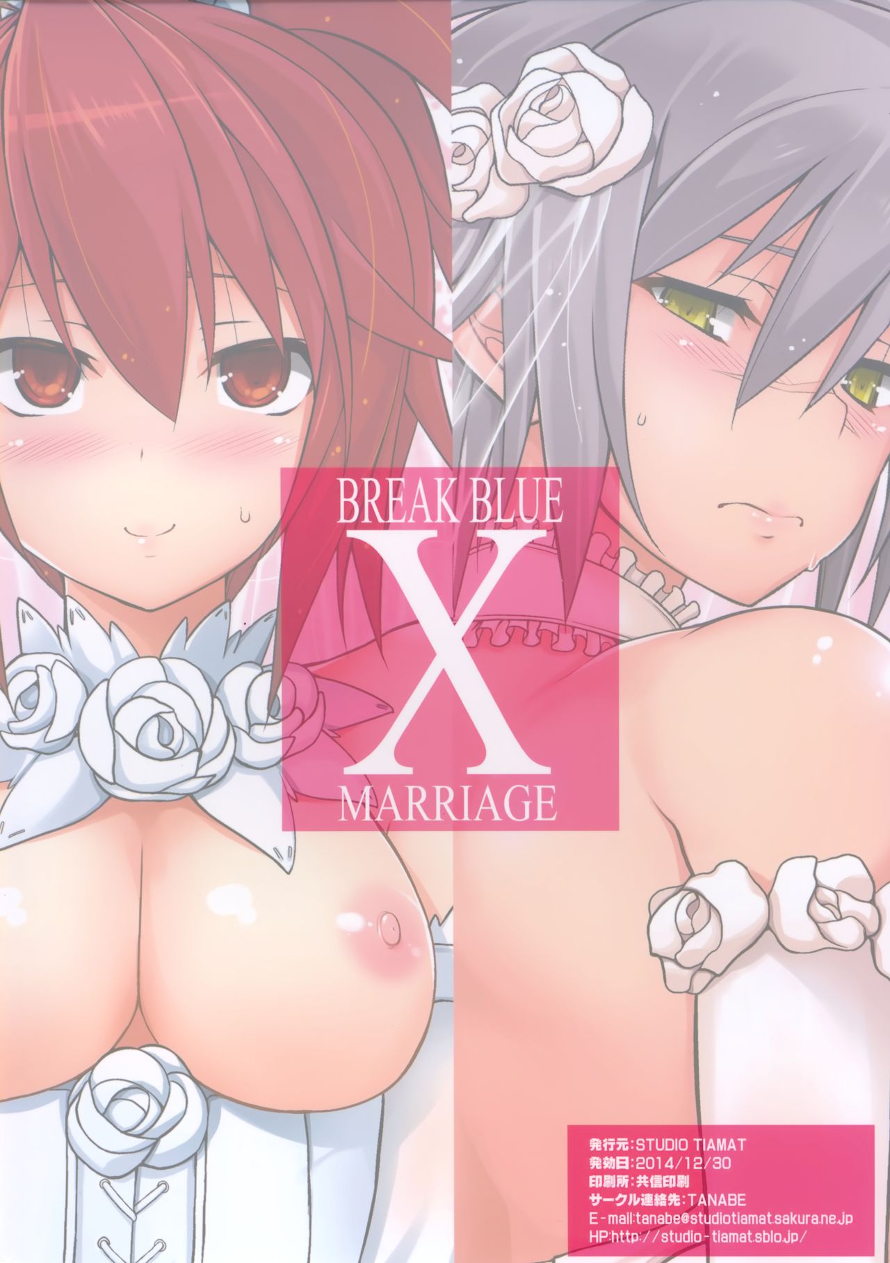 (C87) [STUDIO TIAMAT (TANABE)] BREAK BLUE X MARRIAGE (ブレイブルー) [英訳]