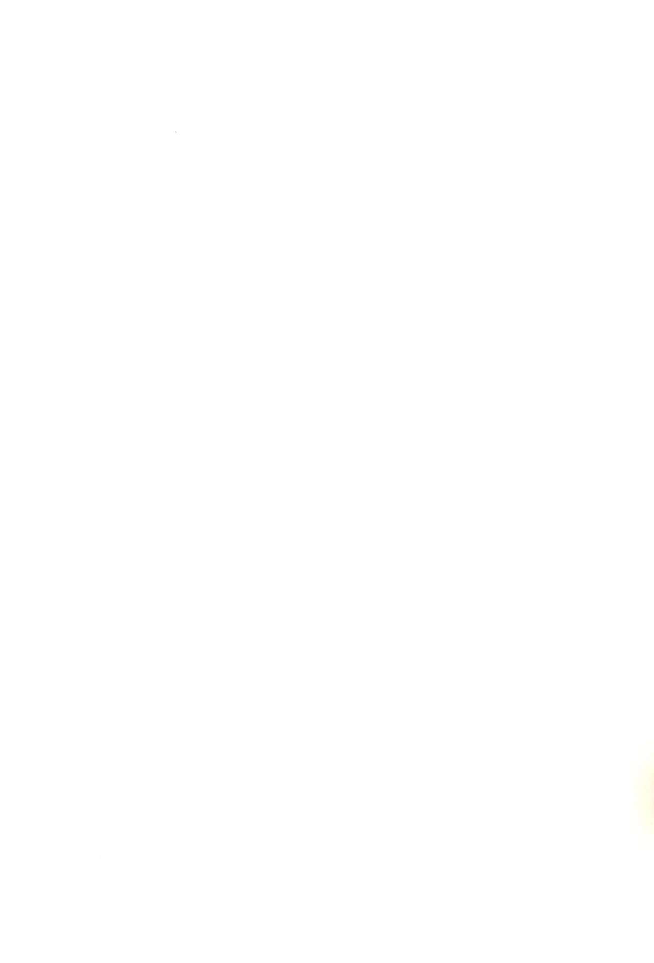 (SHT2010秋) [秒殺狸団 (佐伯達也)] ロリぷりっ☆ペドちぇん! (ひめチェン! おとぎちっくアイドル リルぷりっ)