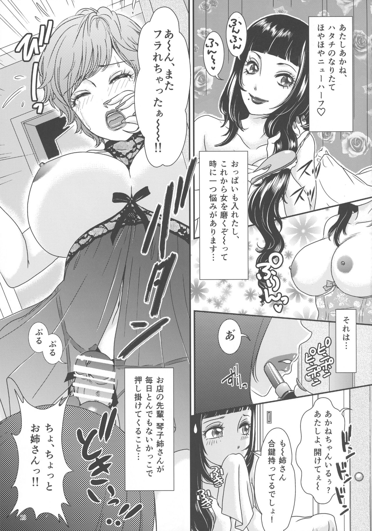 (ふたけっと13) [薔薇猫洋菓子店 (十はやみ, The Amanoja9)] So Red The Rose