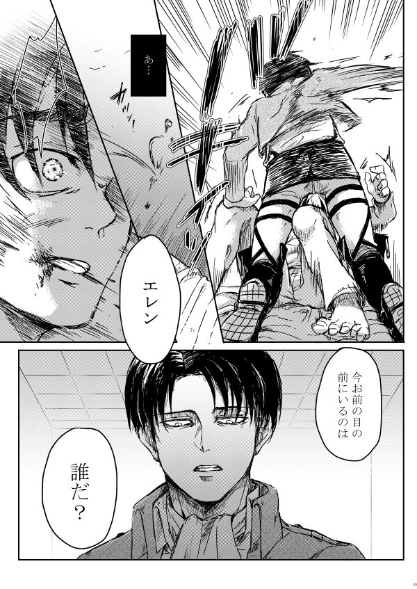 [やお屋 (とめと)] その目に映すのは (進撃の巨人) [DL版]