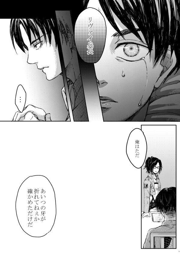 [やお屋 (とめと)] その目に映すのは (進撃の巨人) [DL版]