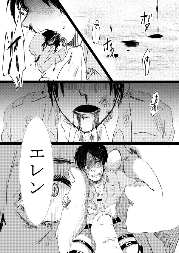 [やお屋 (とめと)] その目に映すのは (進撃の巨人) [DL版]