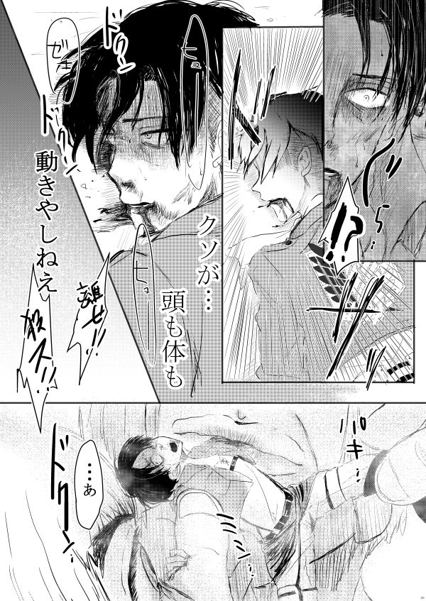 [やお屋 (とめと)] その目に映すのは (進撃の巨人) [DL版]