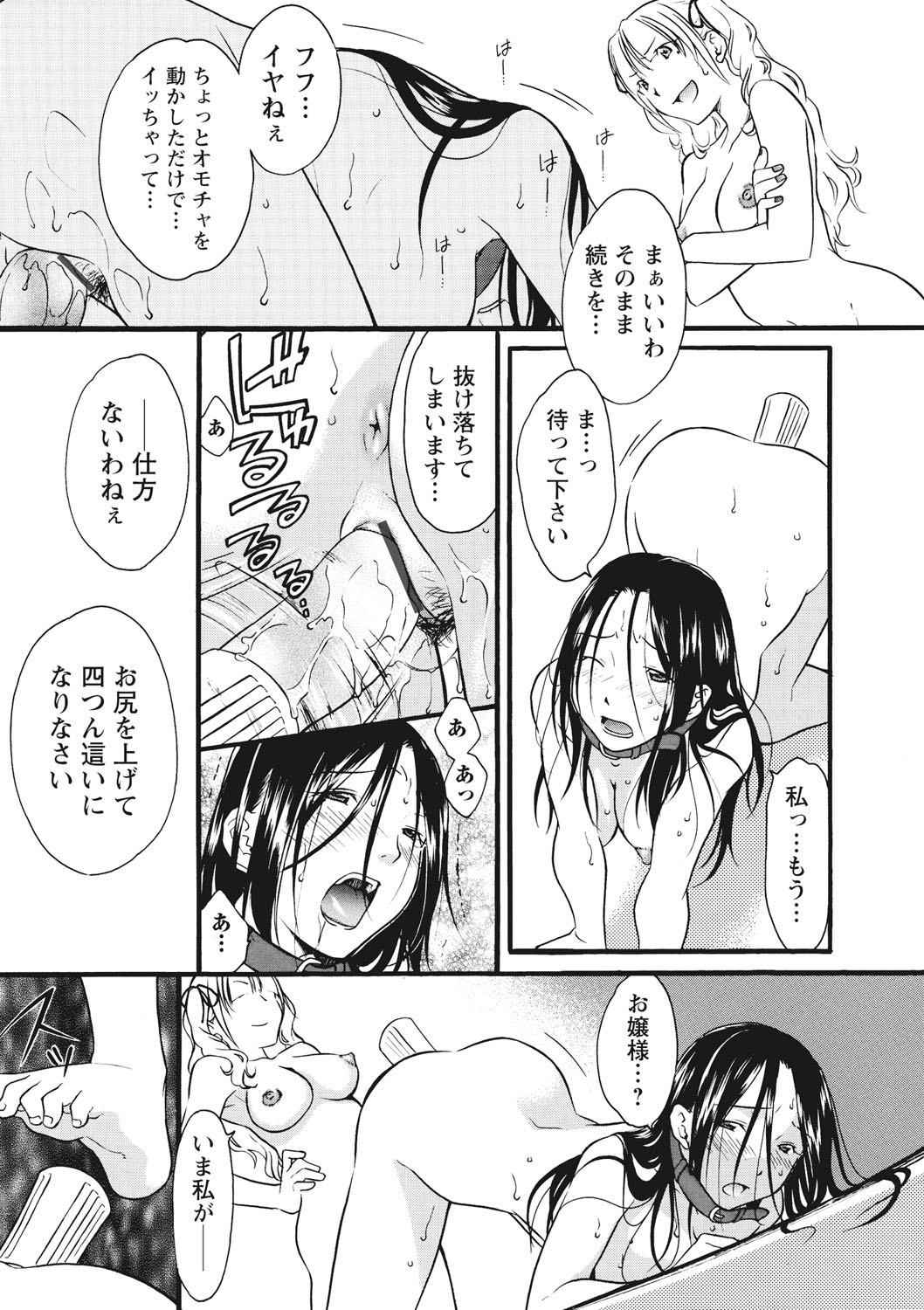 [緋邑陣] 痴姦 -嵌められた女たち- [DL版]