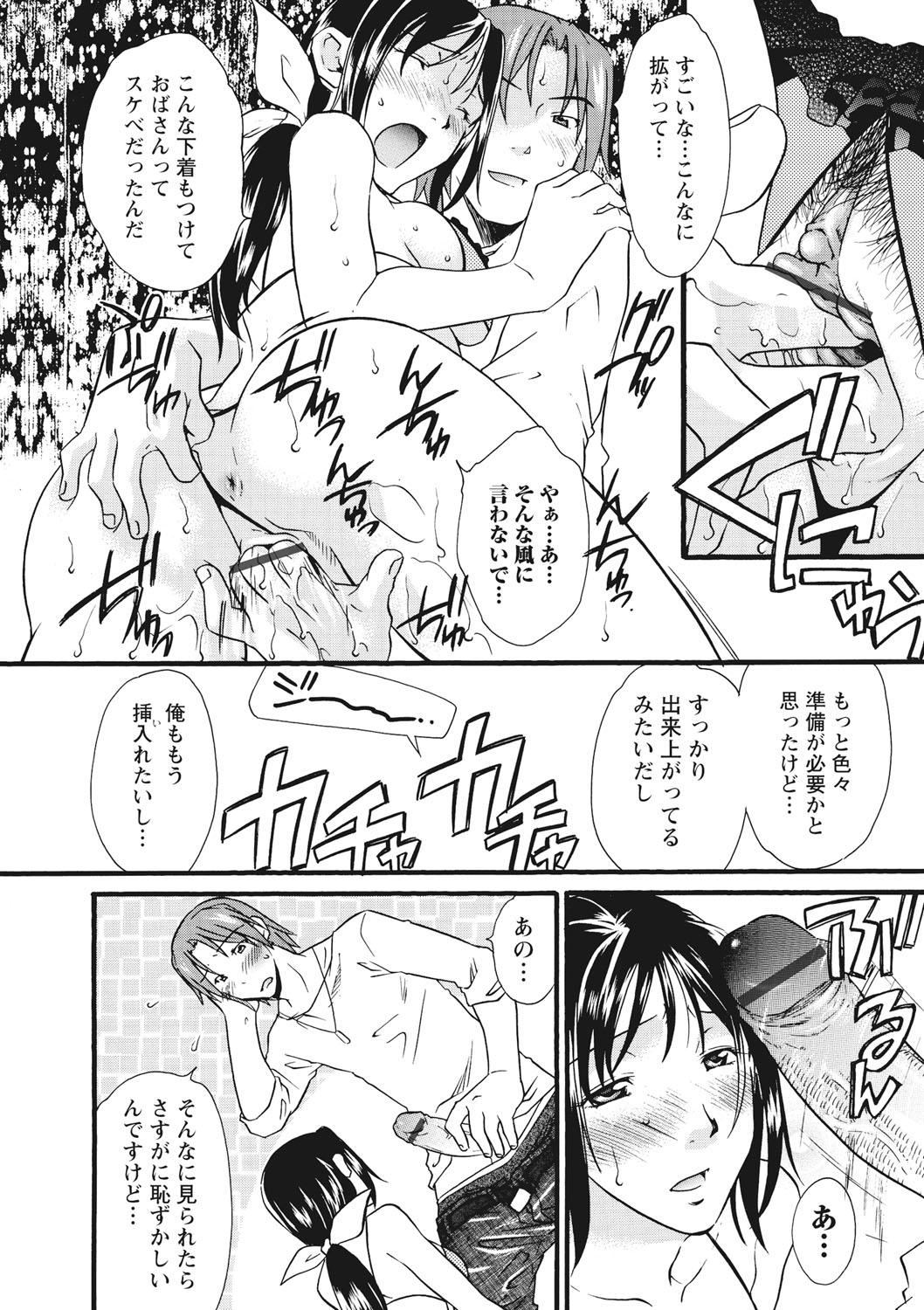 [緋邑陣] 痴姦 -嵌められた女たち- [DL版]