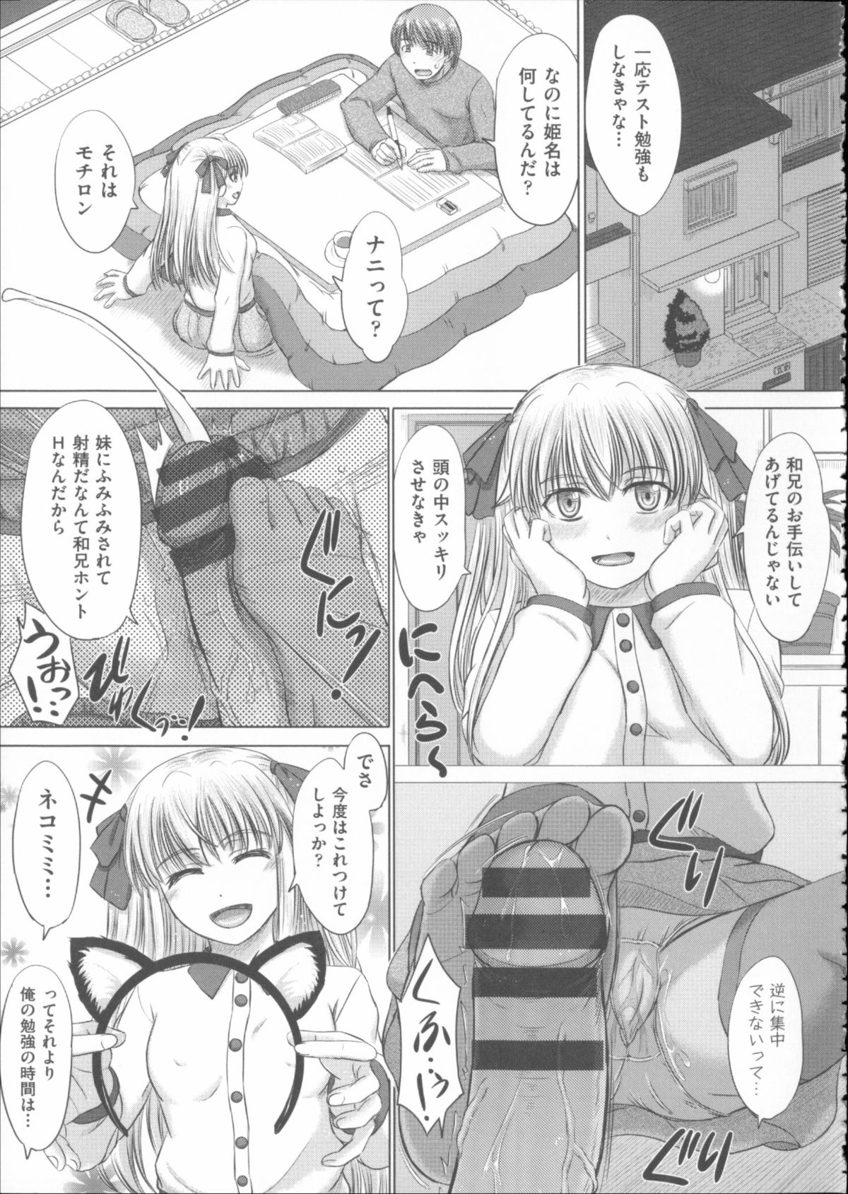 [稲鳴四季] 放課後交配ノート + 4Pリーフレット
