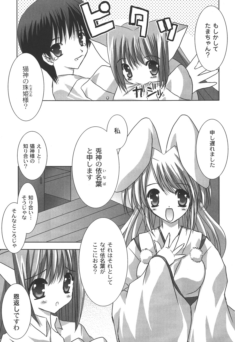 [しきがみあずま] 二丁目の猫神さま [DL版]