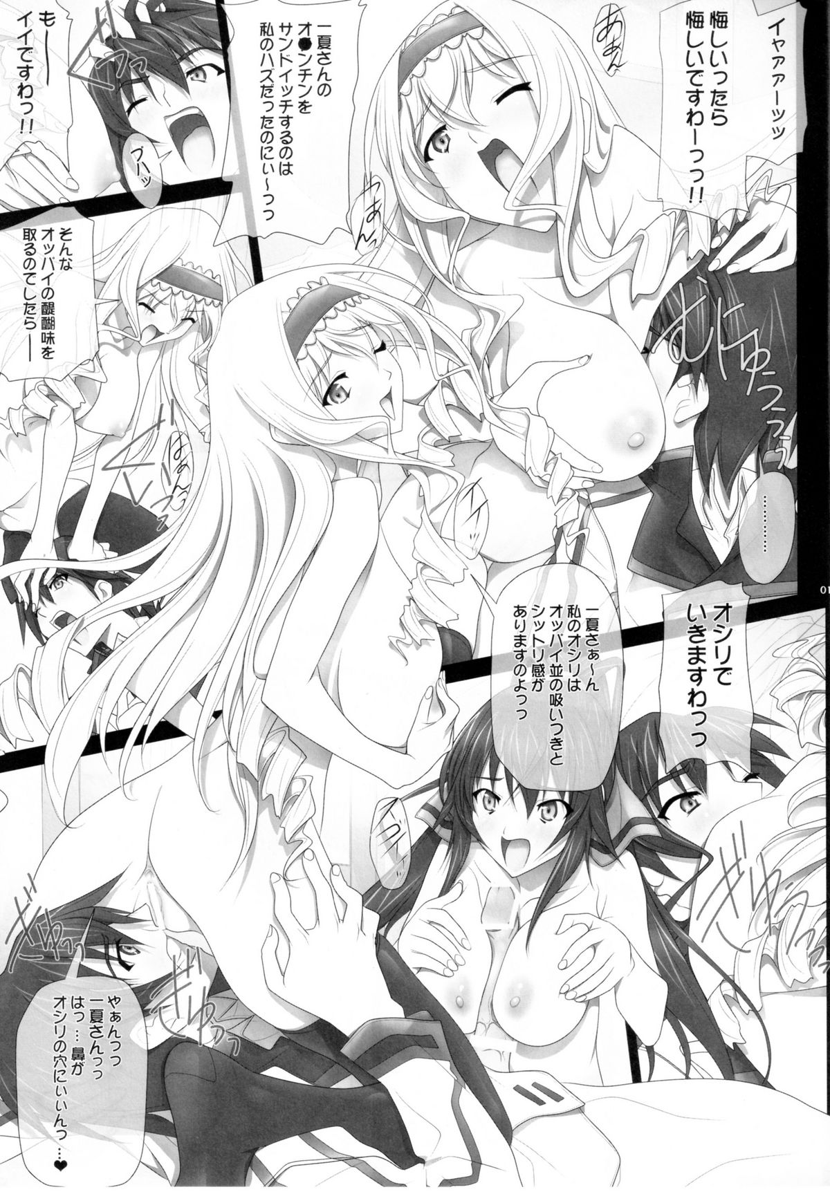 (COMIC1☆5) [彩～IRODORI～ (そよそよ) H'I,S (インフィニット・ストラトス)