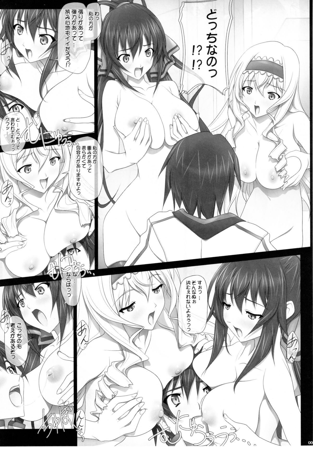 (COMIC1☆5) [彩～IRODORI～ (そよそよ) H'I,S (インフィニット・ストラトス)