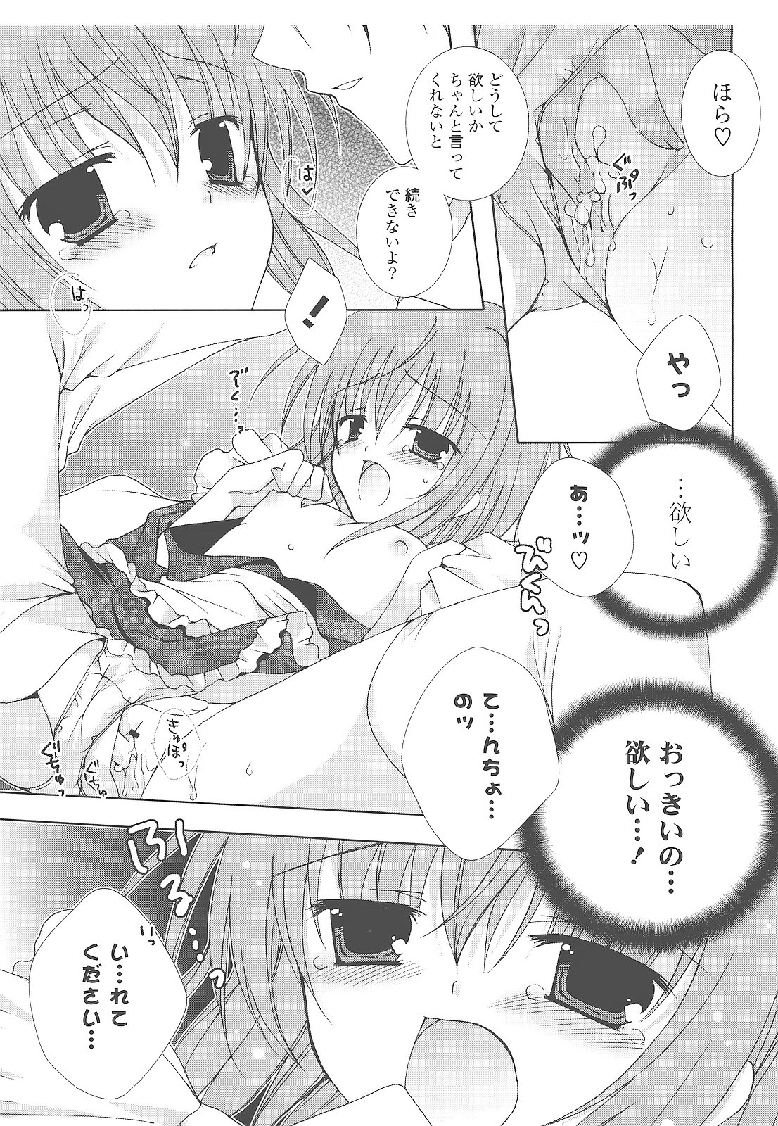 [シロガネヒナ] もえひな。