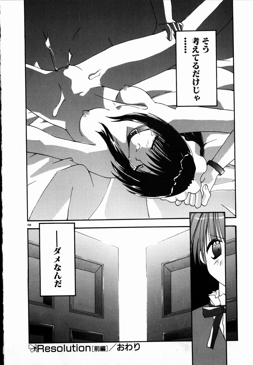 [しかげなぎ] SUGAR CUBE DOLL