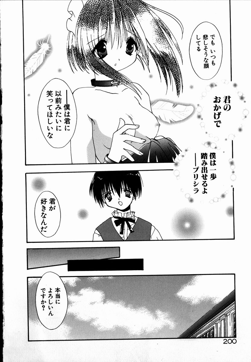 [しかげなぎ] SUGAR CUBE DOLL