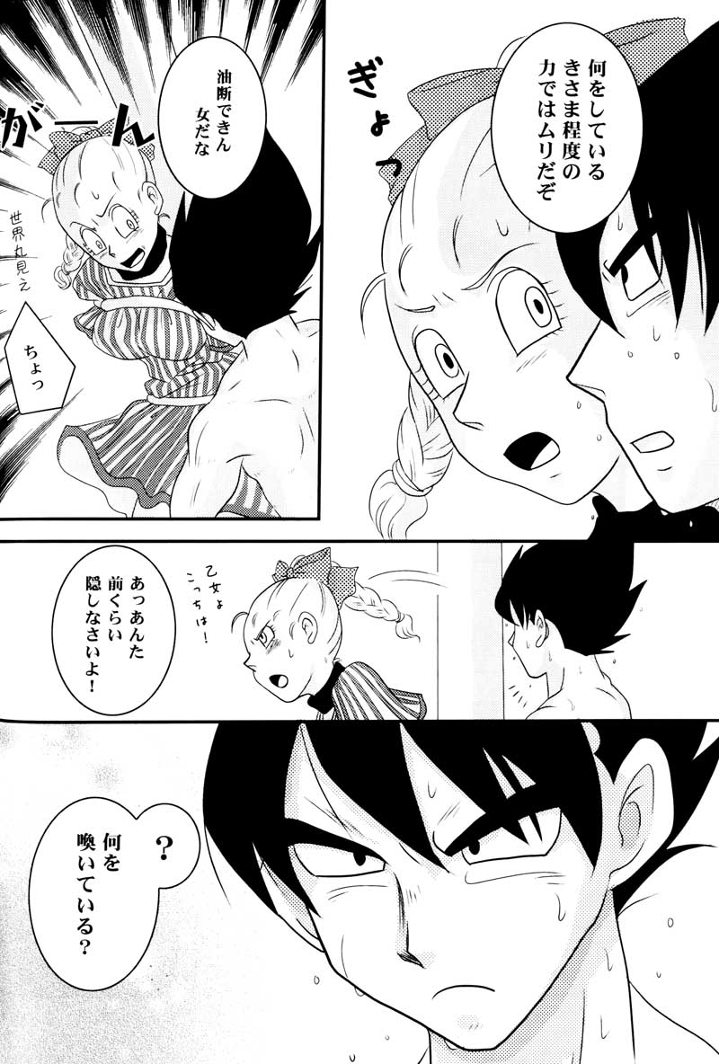 MOEBON BALL KAI（ドラゴンボールZ）[ベジータXブルマ]