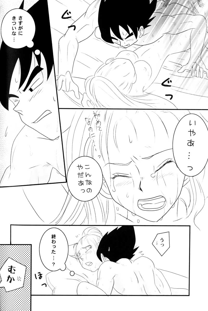 MOEBON BALL KAI（ドラゴンボールZ）[ベジータXブルマ]