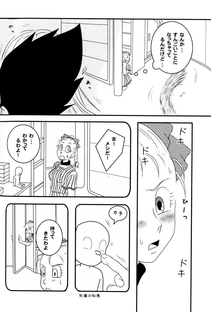 MOEBON BALL KAI（ドラゴンボールZ）[ベジータXブルマ]