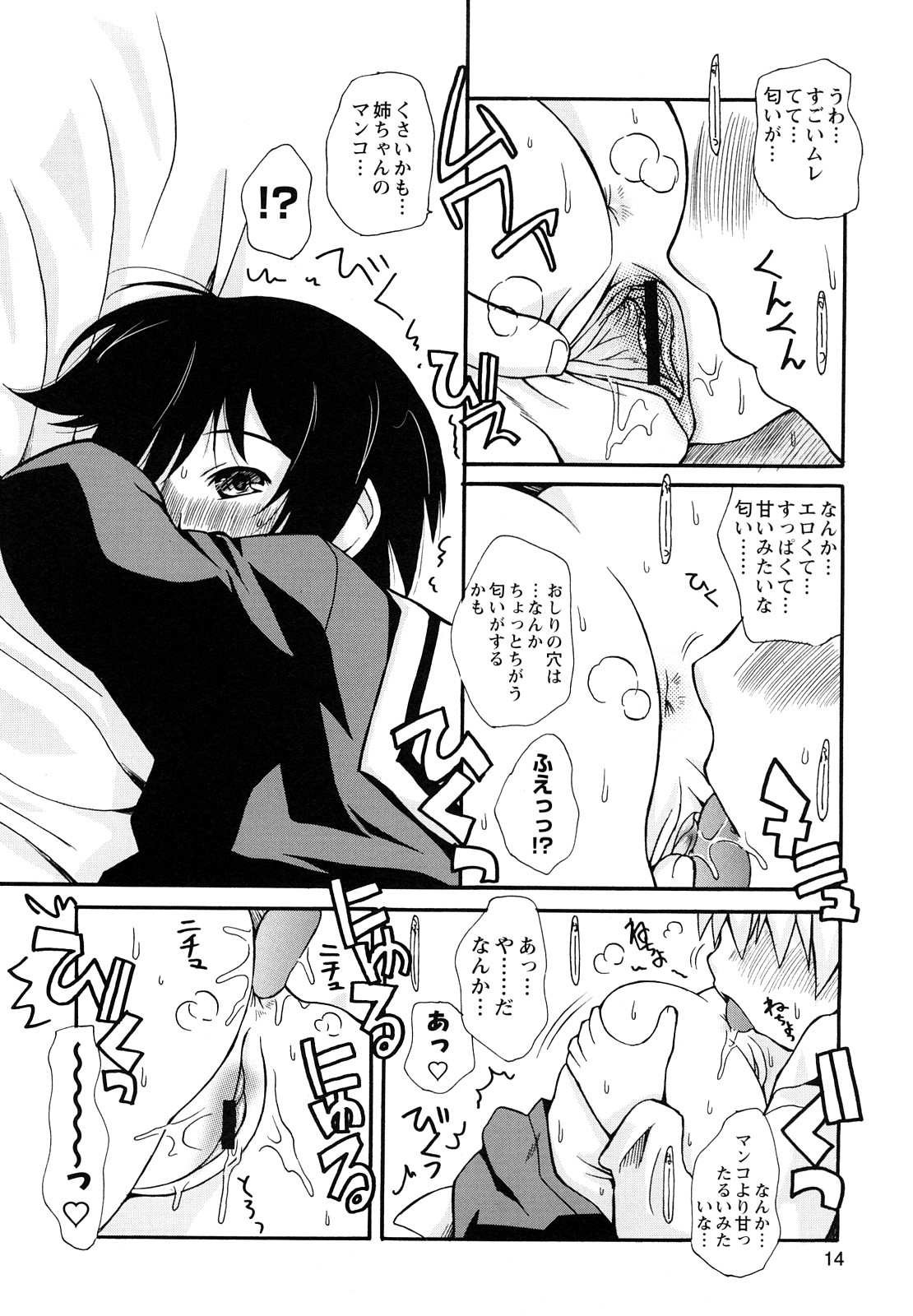 [狩野蒼穹] ぼくだって姉とセックスしてみたい！