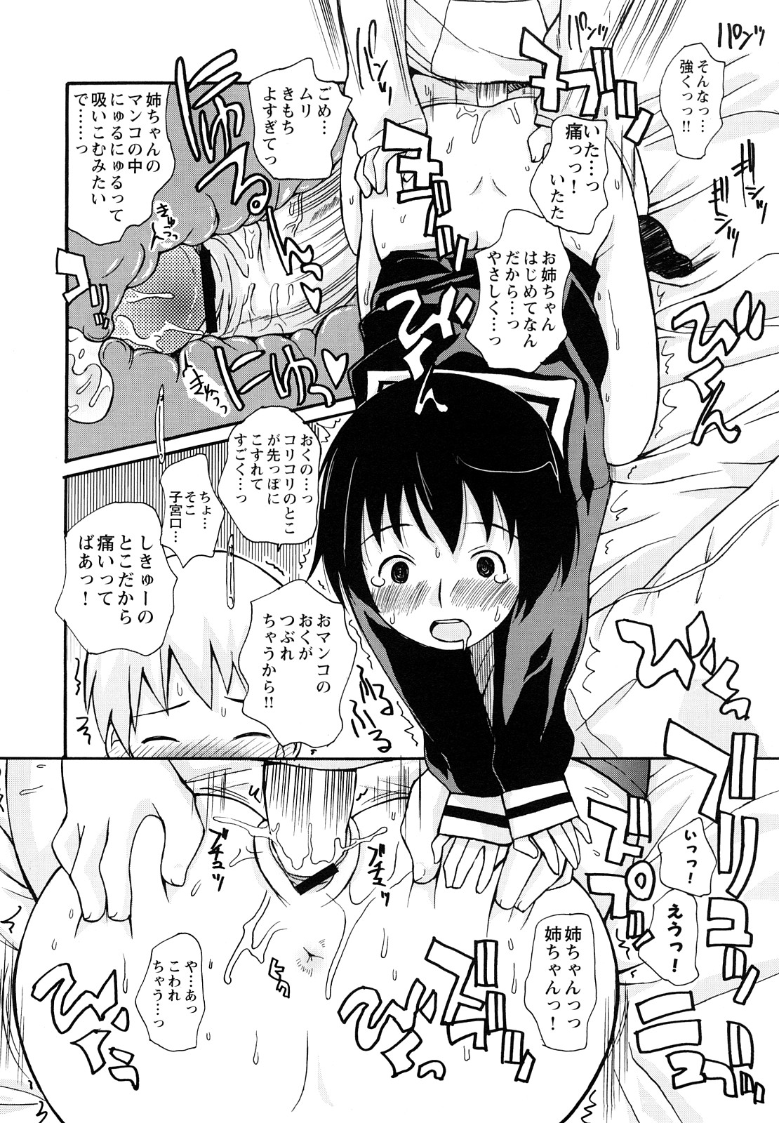 [狩野蒼穹] ぼくだって姉とセックスしてみたい！