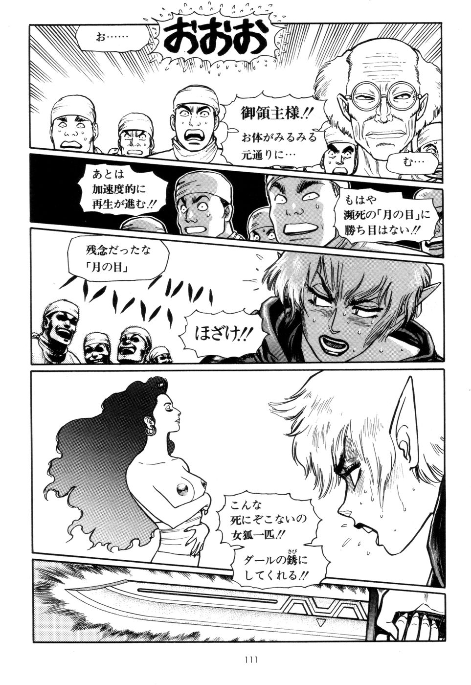 [山本貴嗣] 剣の国のアーニス