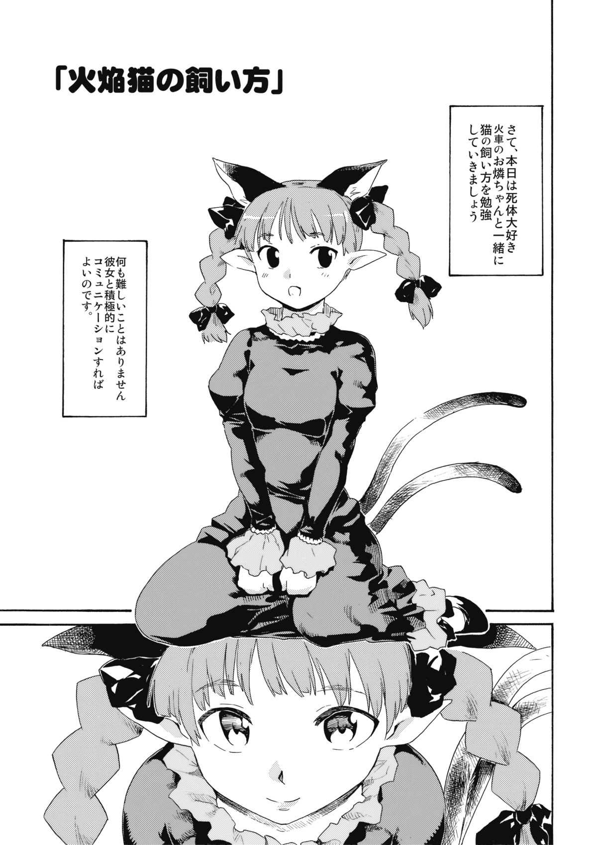 (紅楼夢5) [PARANOIA CAT (藤原俊一)] 東方浮世絵巻 火焔猫の飼い方・地獄鴉の育て方 (東方Project)