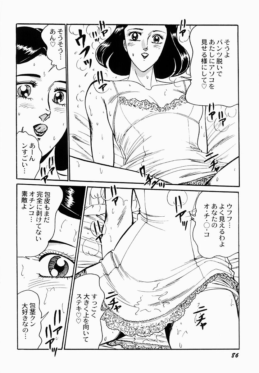[もりやねこ] 愛の淫女隊