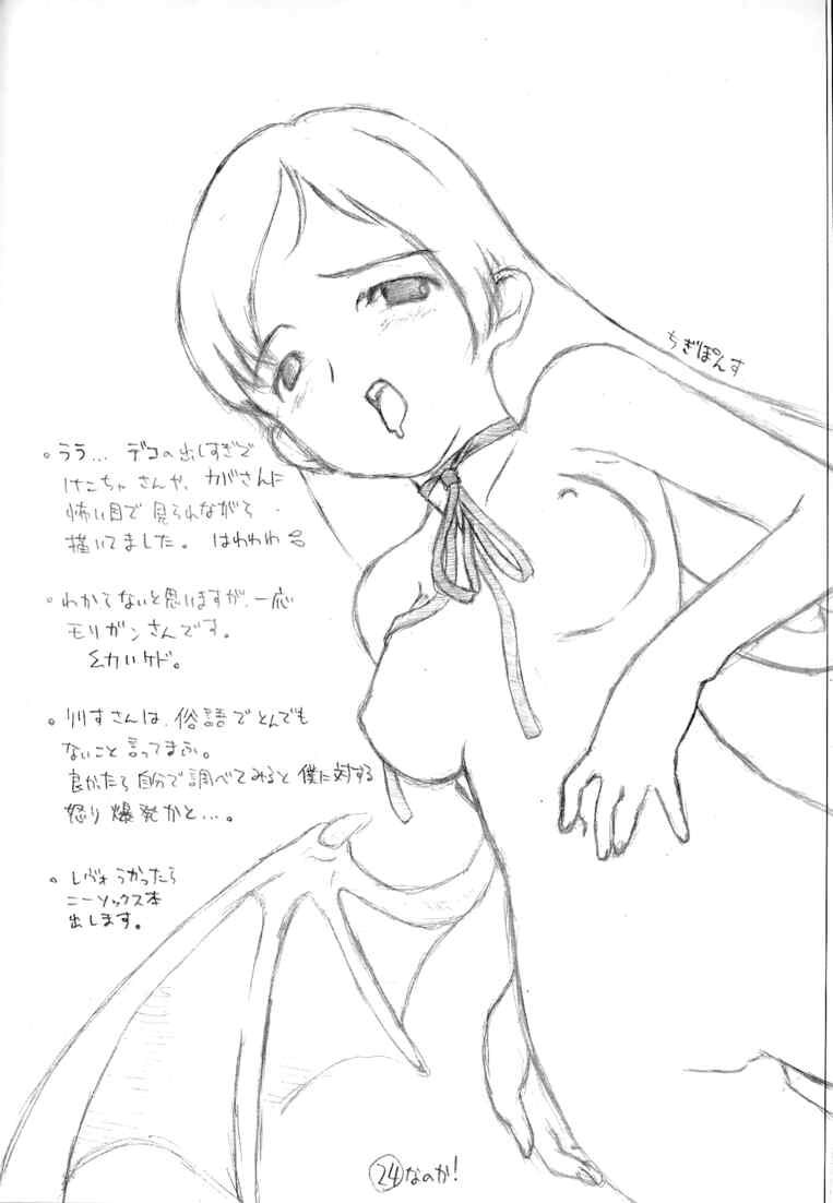 [CHIBIKKO KINGDOM (けこちゃ)] 森鴈さんの宴 (ヴァンパイアセイヴァー)