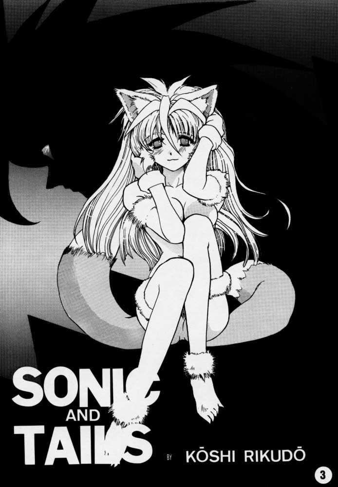 [六道館] Sonic & Tails