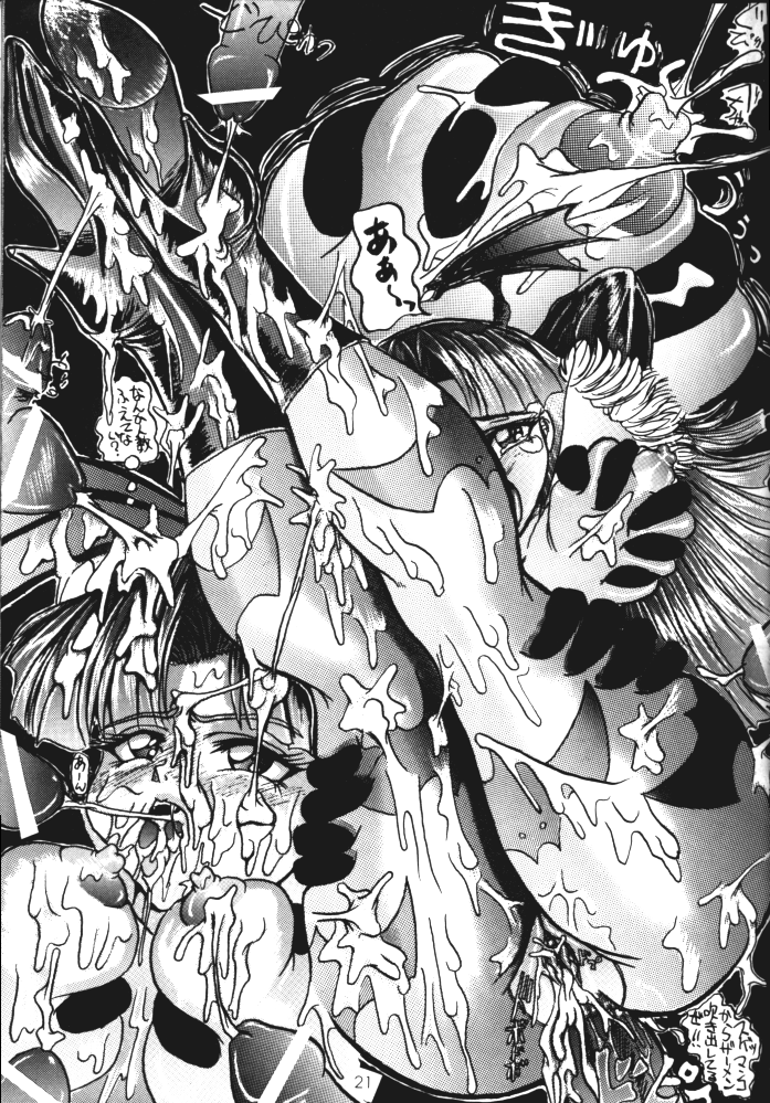[犬の団 ( 光神)] SHADOW LADY (ストリートファイター, ヴァンパイア セイヴァー)