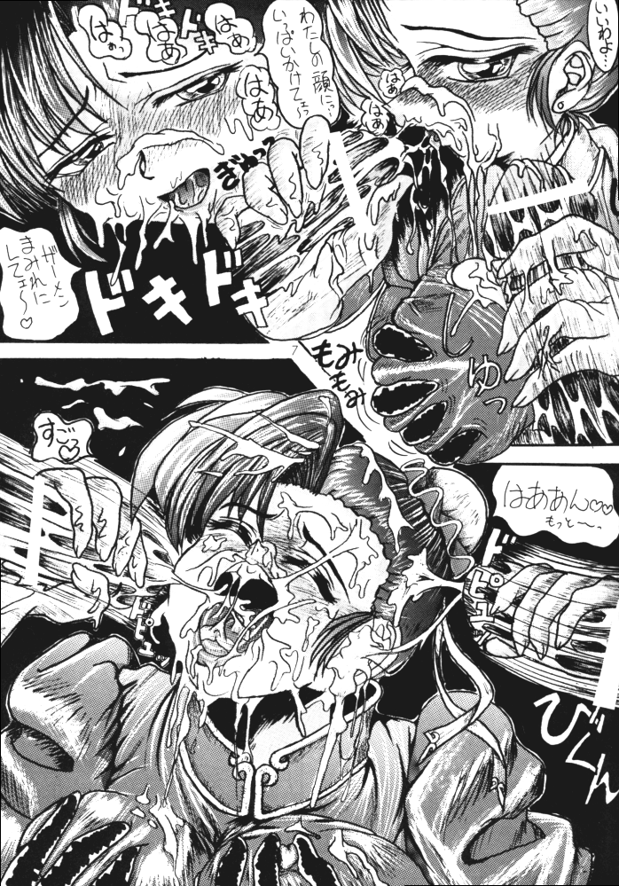 [犬の団 ( 光神)] SHADOW LADY (ストリートファイター, ヴァンパイア セイヴァー)