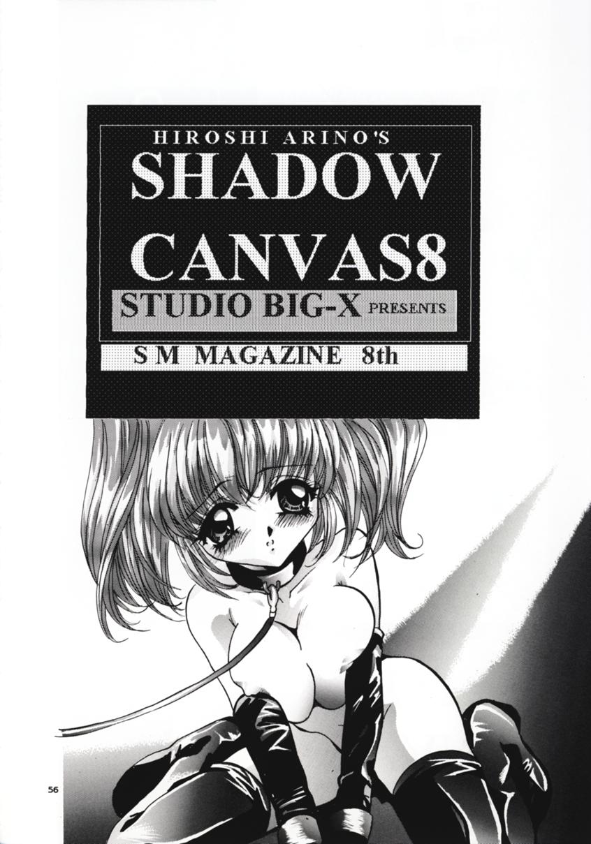 (C54) [スタジオBIG-X (ありのひろし)] SHADOW CANVAS 8 (魔法のステージファンシーララ, 星方武侠アウトロースター)