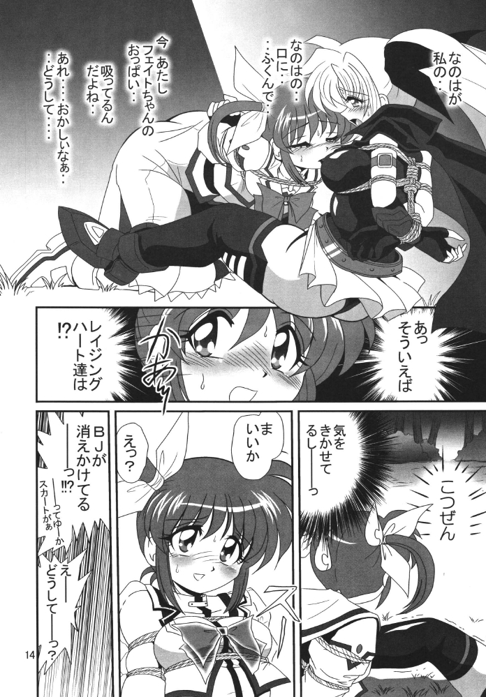 [サーティセイバーストリート2Dシューティング] ストレージイグニッション (魔法少女リリカルなのは)
