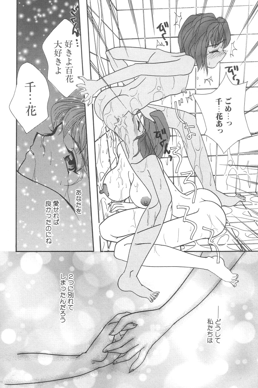 [MANA-KO] シンデレラ☆スキャンダル