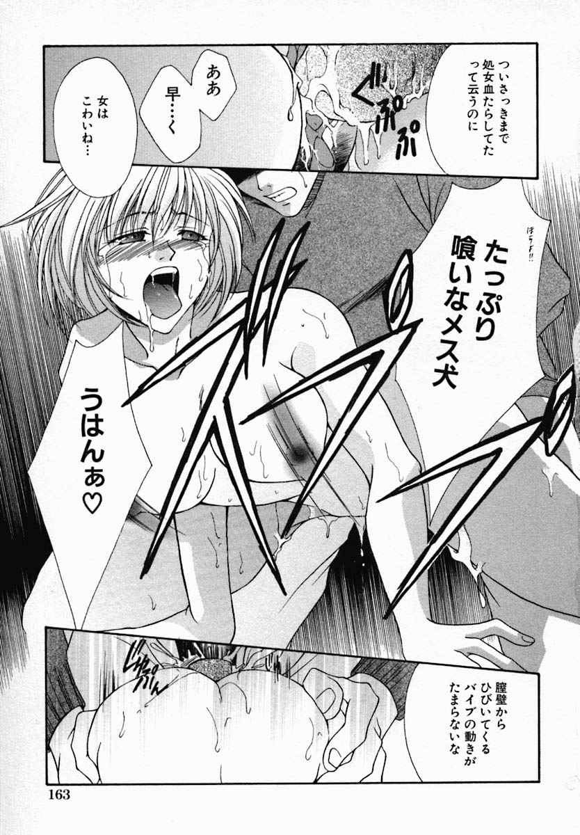 [野々村真子] 女の秘密