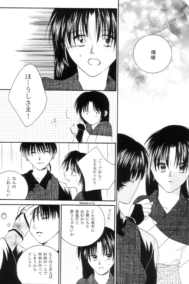犬夜叉-嵐の大洋