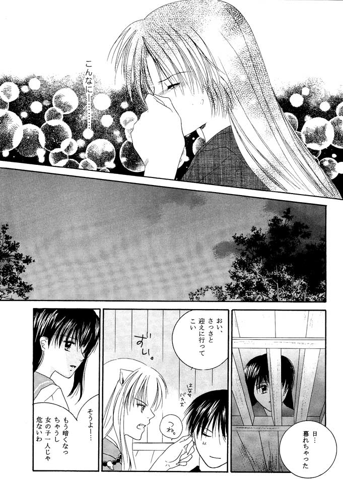 犬夜叉-嵐の大洋