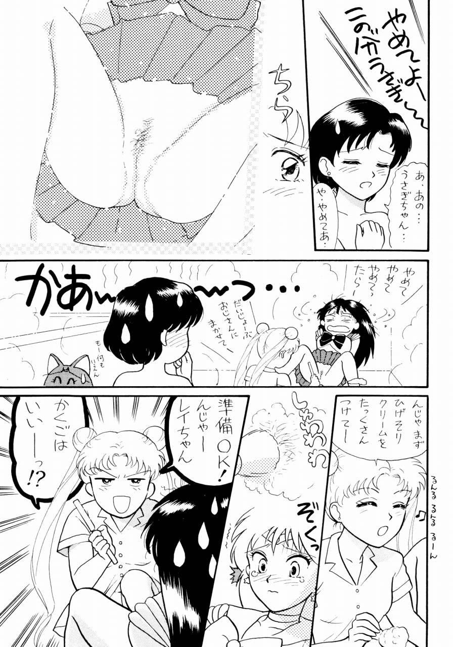 (C43) [THE GARDEN (伊藤まさや)] セーラームーン人生 (美少女戦士セーラームーン)