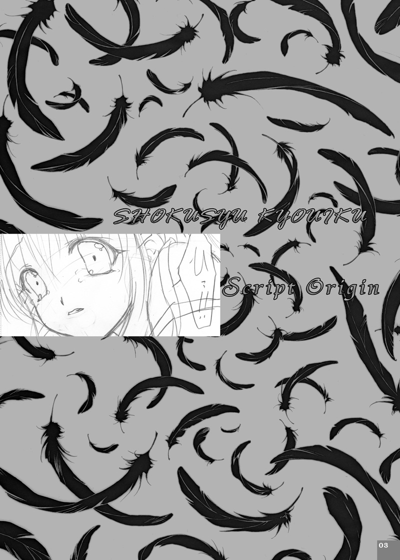 (C68) [Script Origin (雛祭桃子)] 触手教育
