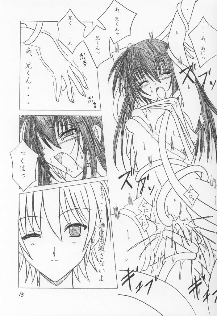 (CR30) [夜の勉強会 (ふみひろ)] 13 (シスタープリンセス)