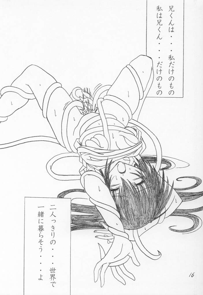 (CR30) [夜の勉強会 (ふみひろ)] 13 (シスタープリンセス)